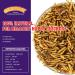 Zower 5 lbs Natural Mealworms - High Protein Scratch Treats with 85X More Calcium for Chickens, Birds, Amphibians & Reptiles - Buy Online on GoSupps.com