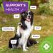 Furever Friendz Dog Multivitamin Supplement - 120 Chewable Chicken Flavour Tablets | 24 Nutrients for Brain, Heart & Joint Health - Buy Online on GoSupps.com