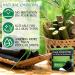 Natural Bamboo Coal Blackhead Remover - 80 Strips for Clogged Pores & Blackhead Removal | Unisex Pore Cleaner - Buy Online on GoSupps.com