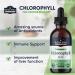 Nutra Well Chlorophyll Liquid Drops - 30 Servings for Immune Support, Energy Boost, Skin Care & Detox Cleanse - Premium Supplement - Buy Online on GoSupps.com