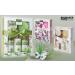 BRUBAKER Aloe Vera Bath & Shower Set - 5-Piece Gift Set | Luxurious Skincare for All Skin Types - Buy Online on GoSupps.com