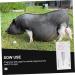 FRCOLOR 6 Pcs Pig Pregnancy Test Paper - Early Detection Strips for Sow & Farm Fertility Tools - Buy Online on GoSupps.com