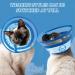 Buy Ohcozzy Adjustable Sore Crane Cat Collar - Transparent & Breathable Protective Collar (S Gray) | Pet Recovery Solution - Buy Online on GoSupps.com