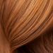 R Z Santa Lucia Styling Oil - Lightweight Nourishing Hair Oil for All Hair Types Frizz Control & Heat Protection - Vegan 2 Fl.Oz / 60 ml - Buy Online on GoSupps.com