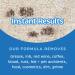 Buy FOLEX Instant Carpet Spot Removers (32 oz) & Reusable Microfiber Cloths - Black Swan Distributors | Household Stain Treater Kit - Buy Online on GoSupps.com