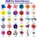 Dried Pressed Flowers Kit - 223 Pcs for Resin, Nails, Jewelry, Soap & Candle Making - Real Natural Leaves, Butterfly Stickers - LUCISKY - Buy Online on GoSupps.com