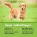 Canine Matrix Skin & Coat Mushroom Powder 7.1 oz | Natural Pet Supplement for Healthy Fur - Buy Online on GoSupps.com