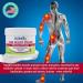 TriDerma Pain Relief Cream - 4 Ounces (2 Pack Bundle) - Buy Online on GoSupps.com