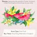 Tocca Women's Perfume Mini Discovery Sampler Set of 8 1.5ml Each - Includes Cleopatra Stella Florence Giulietta Colette Simone Belle & Lucia Discovery Set of 8 - Buy Online on GoSupps.com