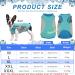 Dog Cooling Vest - Lightweight & Breathable Summer Jacket for Small to Medium Dogs | Reflective Stripes & ICE Cooling T-Shirt in Green - Buy Online on GoSupps.com