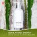 Buy THANN Oriental Essence Rice Extract Body Lotion - Moisturizing Body Milk with Vitamin E - Hydrating Skin Day & Night (10.8 fl oz) - International Shipping Available - Buy Online on GoSupps.com