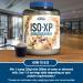 Applied Nutrition IsoXp Caf Latte 18Kg - Buy Online on GoSupps.com