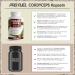 Buy Cordyceps Capsules 360x - 2100 mg High-Quality Fungus Extract (10:1) - 40% Bioactive Polysaccharides - 2 Bottles of 180 Capsules - International Shipping - Buy Online on GoSupps.com