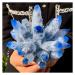 Natural Crystal Rough New Find Sky Blue Phantom Quartz Crystal Cluster Specimen (Size : 400-500g)