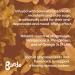Bardo Lift Botanicals - 100% Natural Unprocessed Healthy Snack - Low Calorie - Vegan Plant Protein - Gluten & Grain Free - No Added Sugar or Sweeteners - High Fibre - Nourish Awards Winner (10 pack) - Buy Online on GoSupps.com