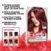 L'Oreal Paris Feria Rich Mahogany Hair Color #41 | Multi-Faceted Shimmering Highlights | 1 Application - Shop Now - Buy Online on GoSupps.com