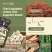 Samara 888 Leaky Gut Repair Supplement & Candida Support with Marshmallow Root Woormwood and PAU D'Arco - Liver Cleanse Detox & Repair - Supports Gas Relief for Adults - 90 Vegan Capsules - Buy Online on GoSupps.com