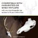 Mountain Mike's Reproductions Skull Master Universal White - Premium Deer Skull Mount - Buy Online on GoSupps.com