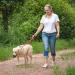 Vivaglory Short Dog Leash 46cm - Pink Traffic Leash for Medium & Large Dogs | Durable Training Line - Buy Online on GoSupps.com