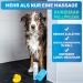 Bluepet Fellfein Bathing Brush for Short Hair Dogs & Cats - Rubber Cover Massage Effect Removes Loose Hair & Dirt - Ideal for Bathing & Grooming - Buy Online on GoSupps.com