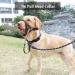 Durable Dog Head Necklace for Labrador - Soft Upholstery No Pulling Includes Training Instructions - Blue/Black - Buy Online on GoSupps.com