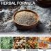 Mugwort Belly Button Patch (60PCS) - Natural Plant for Men and Women - White - Buy Online on GoSupps.com