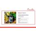 Pomellos Eau de Cologne by eeose (Keep in Touch 250ml) Keep in Touch 8.5 Fl Oz (Pack of 1) - Buy Online on GoSupps.com