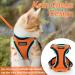 Buy Rabbitgoo Breakproof Cat Dishes & Adjustable Harness | Reflective Leash & Bowl for Cats Kittens & Small Dogs - Orange XS (1 Pack) - Buy Online on GoSupps.com