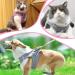Adjustable Cat Dishes with Leash - Breakout-Proof Tableware Set for Cats & Small Dogs (Pink L) - Buy Online on GoSupps.com