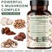 Plant.O Premium Lion's Mane Nootropic Brain Supplement - 5 Mushroom Complex for Immunity, Focus & Memory Boost - 90 Caps - Buy Online on GoSupps.com