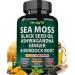 Sea Moss Black Seed Oil Ashwagandha Ginger Organic Sea Moss Capsules with Burdock Root Irish Seamoss Pills with Bladderwrack Turmeric Shilajit Multimineral Supplement USA (120 Capsules) 120 Count (Pack of 1)