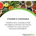 NaturesPlus Vitamin E Chewable 400 IU - 90 Vegetarian Tablets - Natural Carob Flavor | Supports Cardiovascular Health & Free-Radical Defense | Gluten-Free - Buy Online on GoSupps.com