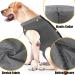 Shop Doton Hospital Suit for Dogs & Cats - Wound Protection & Medical Clothing for Post-Op Care (M Gray) - Buy Online on GoSupps.com