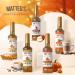 Matteo's Barista Style Sugar-Free Coffee Syrup Apple Spice Flavor Zero Calories and Sugar Keto Friendly Ideal for Lattes Cappuccinos Espresso Americano Indulgent Taste 25.4 Oz 6-Pack 750 ml (Pack of 6) - Buy Online on GoSupps.com
