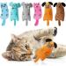 Apricitie 6-Pack Catnip Plush Toys for Cats | Soft Kitten Catnip Toys | Best Cat Toys for Playtime - Buy Online on GoSupps.com