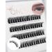 Onlyall DIY Eyelash Extensions 60 Cluster Lashes Individual Lashes Natural Lash Clusters Wispy Lashes Strip Lashes ExtensionH-43 H-43(12MM)