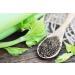 AlchePharma Go-Out Plex (Original) 90 Vegetarian Capsules - Preservative Free - Buy Online on GoSupps.com