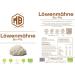 MB Superfoods Lion's Mane Mushroom Powder - Vegan Cognitive Support & Immune Boost | 100g Pure Extract for Memory & Concentration - Buy Online on GoSupps.com