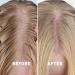 Just Nutritive Thin Hair Shampoo - Natural Formula for Thicker Volumized Hair | 16 Fl Oz - Buy Online on GoSupps.com