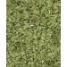 Cilantro Leaves 1 Pound - Fresh and Imported | Heat Sealed for Maximum Freshness - Buy Online on GoSupps.com