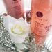 Luseta Rose Oil Shampoo for Fine and Dry Hair 16.9oz - Hydrating Rose Oil Formula - 1 Pack - Buy Online on GoSupps.com