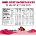 Organic Valley Prenatal Support Smoothie Mix - Vanilla 10 oz | Organic Pregnancy Powder - Buy Online on GoSupps.com