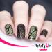 Whats Up Nails Texture Stamping Plates 2-Pack for Nail Art - B010 B059 - Buy Online on GoSupps.com