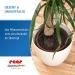 Reer Plant Protection Net Value Pack - 2 Pieces for Flower Pots Up to 30 cm - Prevents Kids from Eating Potting Soil - Buy Online on GoSupps.com