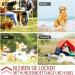 Snagle Paw Dog Bubble & Leash | Camping Dog Bubble Sticks 3m Dog Chain Training Linen - International Shipping Available - Buy Online on GoSupps.com