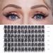 Lankiz Individual eyelashes 0.07 C curl 12mm false eyelash extensions for eyelash extensions 72 PCs cluster lashes diy artificial eyelashes individually fake lashes at home fluffy C-12 fluffy 72PCs