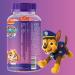 Buy Paw Patrol Kinder Vitamin Gummy Bears | Vitamin C & Zinc | 2-Month Supply | Cold Season Support for Kids - Buy Online on GoSupps.com