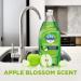 Dawn Antibacterial Apple Blossom Dish Soap 19.4 oz - Pack of 4 + 2 Sponges - Buy Online on GoSupps.com