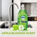 Dawn Ultra Antibacterial Hand Soap - Apple Blossom Scent 75 Fl Oz | International Shipping Available - Buy Online on GoSupps.com