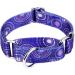 Dazzber Martingale Collar for Dogs - No Pulling Durable Design Fireworks Pattern King Blue - Small 5/8 inch - Buy Online on GoSupps.com